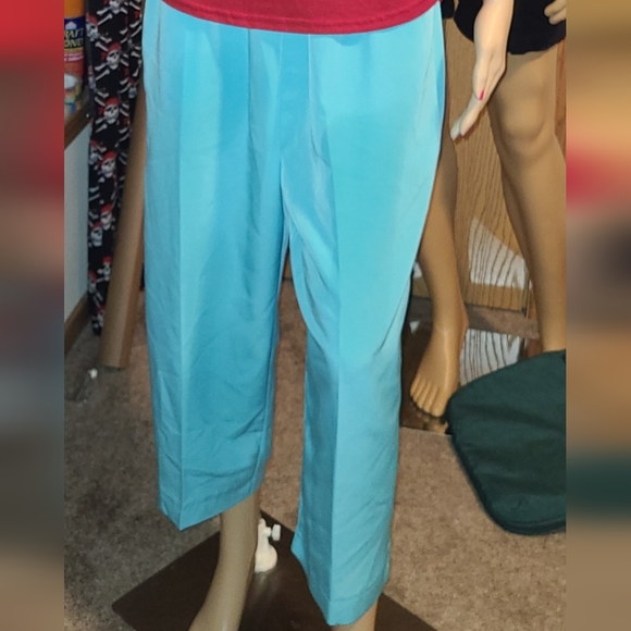 SUSAN GRAVER STYLE WOMEN'S SIZE LARGE CAPRI'S  NWOT - Picture 1 of 5
